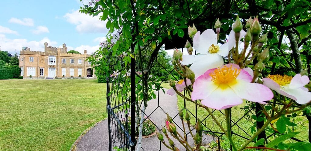 Local SEO for Wedding Venue - Affordable SEO for Wedding Venues Local SEO for Wedding Venue - Affordable SEO for Wedding Venues