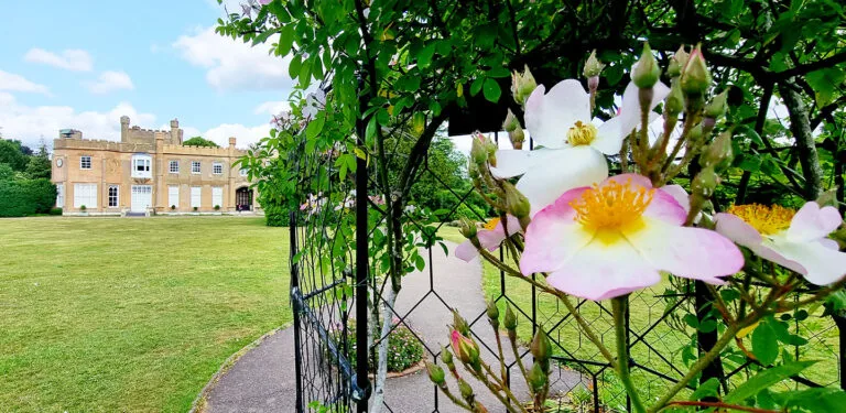 Local SEO for Wedding Venue - Affordable SEO for Wedding Venues